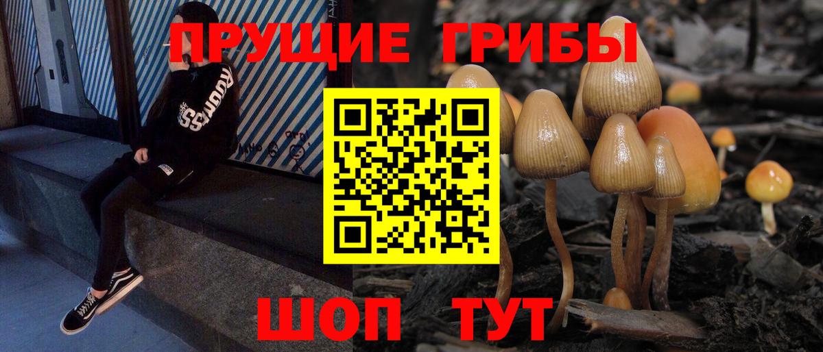Псилоцибиновые грибы Magic Shrooms  Вход с VPN  Шатура 